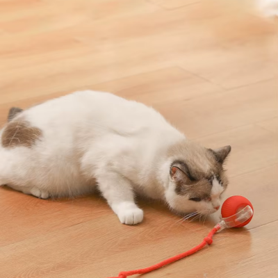 Balle interactive pour chat