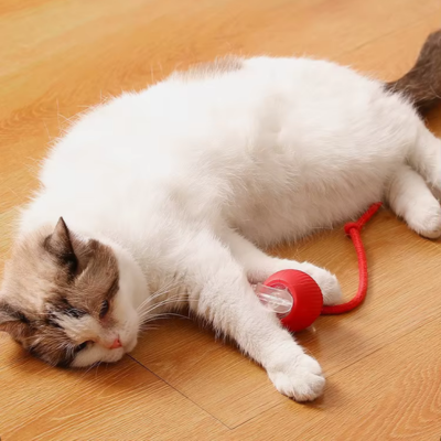 Balle interactive pour chat