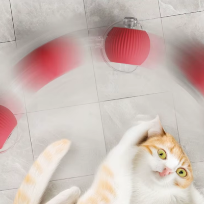 Balle interactive pour chat