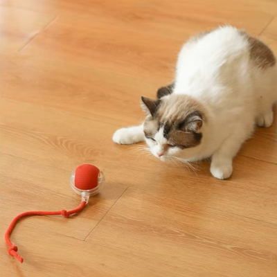 Balle interactive pour chat