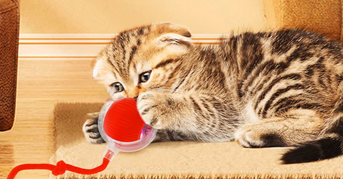 Balle interactive pour chat